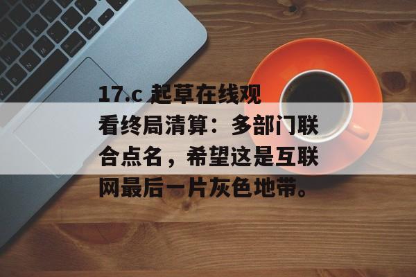 17.c 起草在线观看终局清算：多部门联合点名，希望这是互联网最后一片灰色地带。